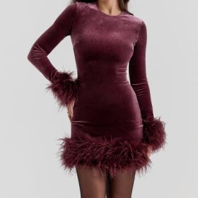 Lavinia Mulberry Velvet Mini Dress - Image 5