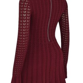 Evalina Wine Knit Corset Dress - Image 3