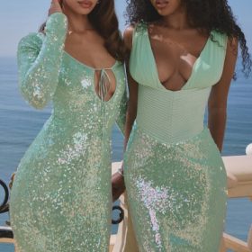 Thala Seafoam Sequin Corset Midi Dress - Image 11